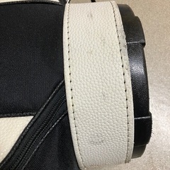 ドルフィンスポーツのキャディーバッグの画像