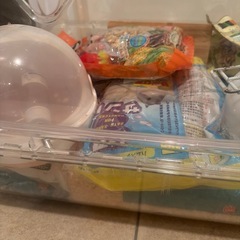 ハムスター用品と餌の画像