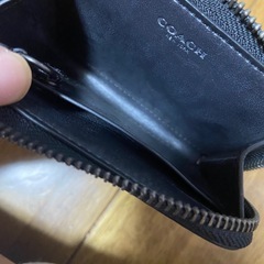 こーちcoachの画像