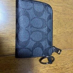 こーちcoachの画像