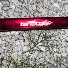 タナベタワーバーの画像