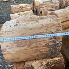 薪　杉　玉切り　いかがですかの画像