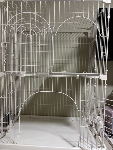 猫 飼い始めセット