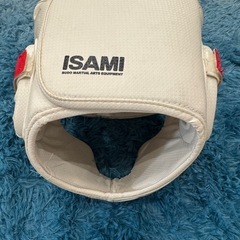 空手用ぼ防具の画像