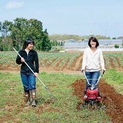 🌱 11月 15日(土) 11時～13時 本庄で 畑作業体…