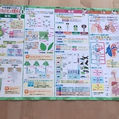 中学受験　ポスター　理科の画像