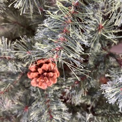 クリスマスツリーの画像