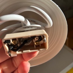 可愛い照明器具の画像