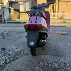 ヤマハ　ミント の画像