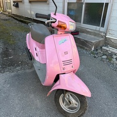 ヤマハ　ミント の画像