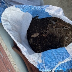 【無料】土を差し上げます　埼玉県行田市の画像