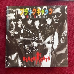 ブラックキャッツ/Black Cats Beth selection の画像