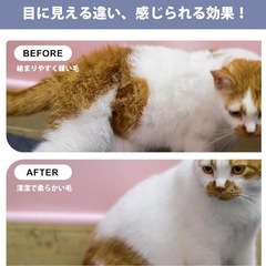 【新品】ペット用ブラシの画像