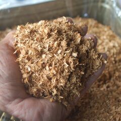 ２０２５年もの 国産100％広葉樹おが粉・おがくず　一斗缶入りの画像