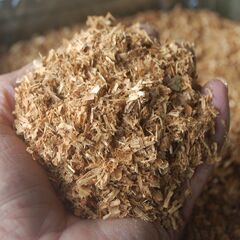 ２０２５年もの 国産100％広葉樹おが粉・おがくず　一斗缶入りの画像