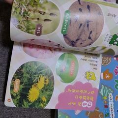 【交渉中】学研月刊雑誌 4-5歳程度 2年分24冊の画像