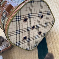ペット用キャリーバッグの画像