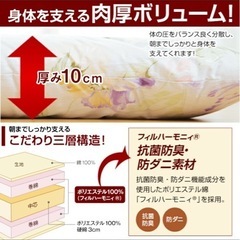 家族みんなで寝れる敷布団‼️2.5m✨無料の画像