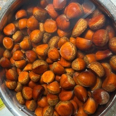 ①生栗１袋500ｇ(無農薬)の画像