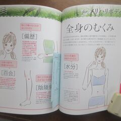 きれいが目覚めるドライヤーお灸　川嶋朗の画像