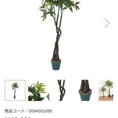 パキラ　フェイクグリーン　観葉植物　造花の画像