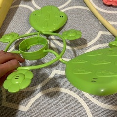 プーメリーの画像