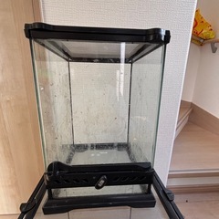 グラステラリウムナノの画像