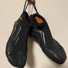 リーフブーツ　の画像