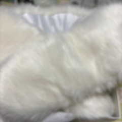 成人式着物ファーの画像