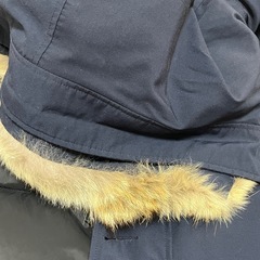 ＊カナダグース JASPER PARKA＊ネイビー＊Lサイズ＊コヨーテファーの画像