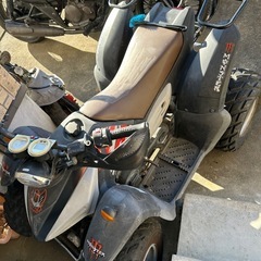 台湾バギーの画像