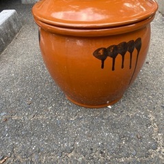 陶器製のカメの画像