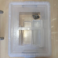 餌用ゴキブリ飼育していたケースですの画像