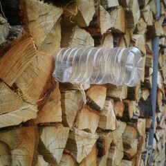 ■乾燥済み　広葉樹約15キロ　1031の画像