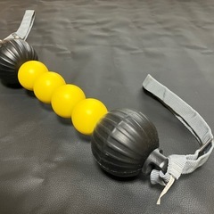 アキユローラー
の画像