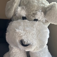 ぬいぐるみ　シュナウザー　くったりむっちりワンワンBIG 人形
　　の画像