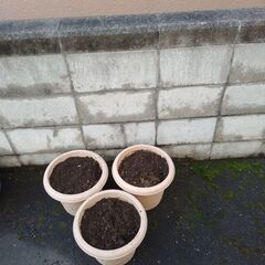 土入りプランターの画像