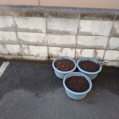 土入りプランターの画像