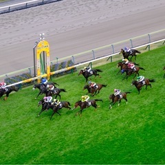 競馬好きな男女を探しております😎