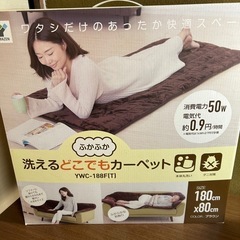 【済】山善 洗えるどこでもカーペット 180×80cm の画像