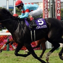 三度の飯より競馬好きな人👍