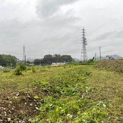 草刈り 集草 作業員募集の画像