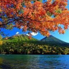 同年代の友達募集です。