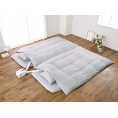 【新品！先月購入したばかり】アイリスオーヤマ ふとん乾燥機 カラリエ ツインノズル 靴にも使えるの画像