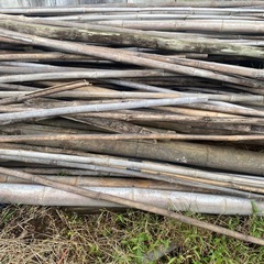 乾燥竹　全部引き取り限定の画像
