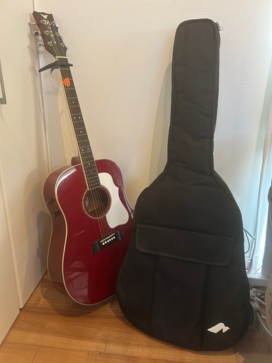 Morris モリスg-35 アコースティックギター