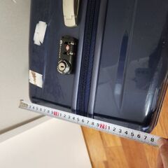 aceのスーツケースの画像