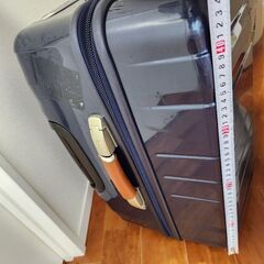 aceのスーツケースの画像