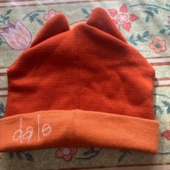 美品　　デールのニット帽の画像