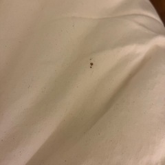 無印良品　体にフィットするソファ　ビーズクッションの画像